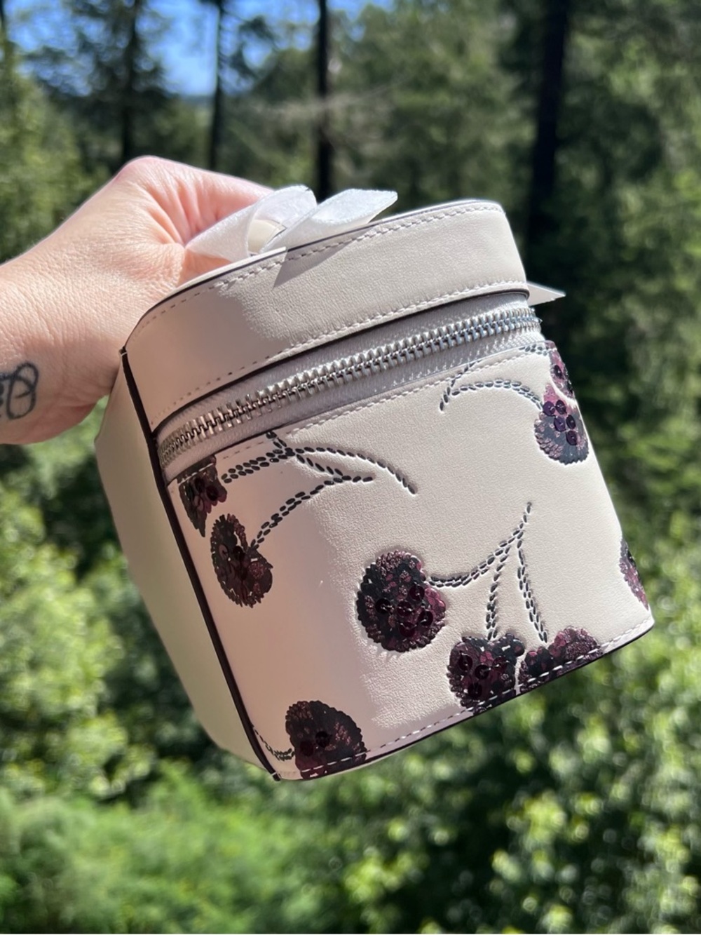 COACH Cosmetic & Make up Case w Cherry Print CDC13 AUTHENTIC New Coach Packaged - Picture 3 of 11
